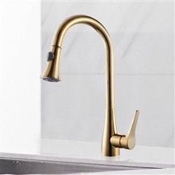 Gold Kitchen Faucet